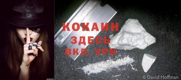 прущая мука Вязьма